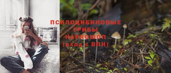 COCAINE Майский